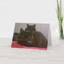 Search for two black cats cards Pet