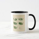 Search for atlas drinkware Statistical