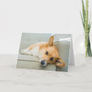 Search for corgi puppy cards Queen elizabeth's