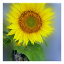 Search for bright yellow background posters Blue