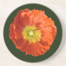 Search for orange poppies coasters Poppy