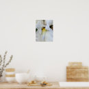 Search for bearded iris posters Floral