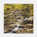 Search for creeks magnets Forest