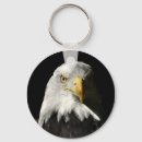 Search for bird photos key rings Bald eagle