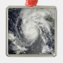 Search for baja christmas tree decorations Space