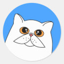 Search for white persian cat stickers Cute