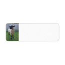 Search for ranching return address labels Country