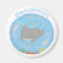 Search for rays magnets Manta ray