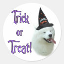 Search for samoyed stickers Dog