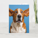 Search for basset hound birthday cards Dog