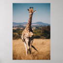 Search for vintage giraffes posters Nature