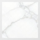 Search for professional window decals Elegant