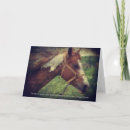 Search for flashy cards Equine