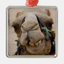 Search for smiling christmas tree decorations Animal