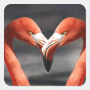 Search for flamingo love stickers Heart
