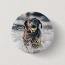 Search for playing badges Ball
