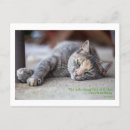 Search for philosopher postcards Socrates