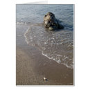 Search for seashore cards Coastal