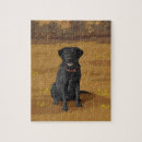 Search for hunting puzzles Labrador retriever