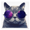 Search for vintage cat pictures posters Cute