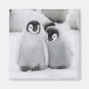 Search for emperor magnets Baby animals
