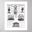 Search for 19th century advertisements posters English