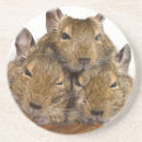 Search for dozing Cute