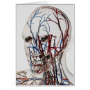 Search for sinus postcards Human body parts