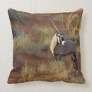 Search for african cushions Animal