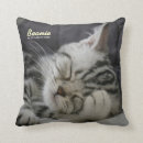 Search for beanie cushions Pet