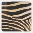 Search for zebra skin stickers Extreme close up
