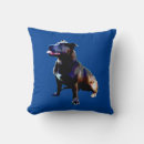 Search for staffy cushions Dog