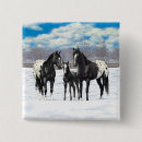 Search for foal accessories Snow