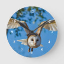 Search for bird flight art Bird of prey