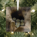 Search for birds nest christmas tree decorations Woods
