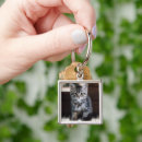 Search for long haired key rings Kitten
