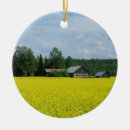 Search for countryside christmas tree decorations Field