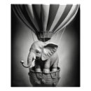 Search for black and white elephant posters Baby