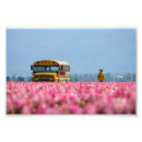 Search for magic school bus posters Yellow