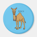 Search for camels magnets Sahara