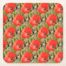Search for floral cas barware California poppies