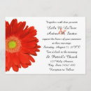 Search for orange gerbera daisy wedding invitations Flowers