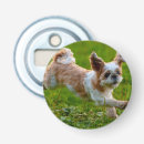 Search for photo bottle openers Dog