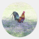 Search for feather stickers Birds