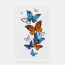 Search for butterfly signs Illustration