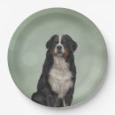 Search for bernese mountain dog stickers Animals