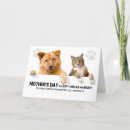 Search for funny cat mothers day cards Pets