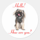Search for pekingese stickers Puppy