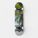 Search for climate skateboards Beach
