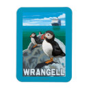 Search for wrangell magnets Original
